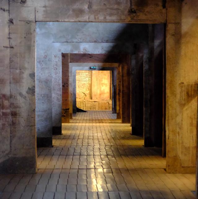 2025-11-01_135605_DSCF5506