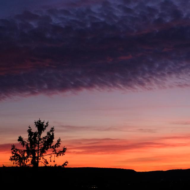 2025-12-12_163349_009-DSCF7945