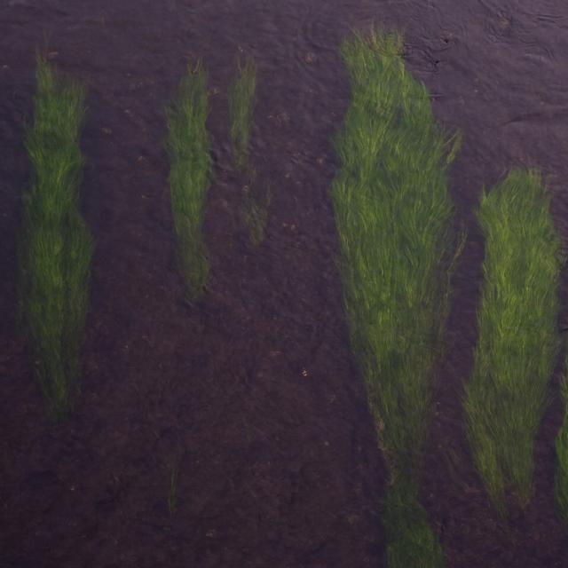 2025-12-22_090101_011-DSCF7995