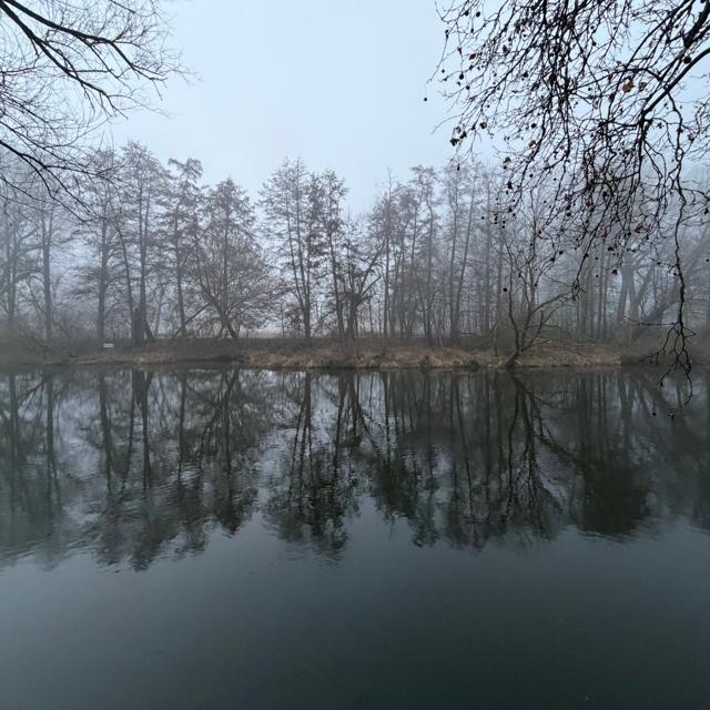 2026-03-05_065535_Saalenebel2
