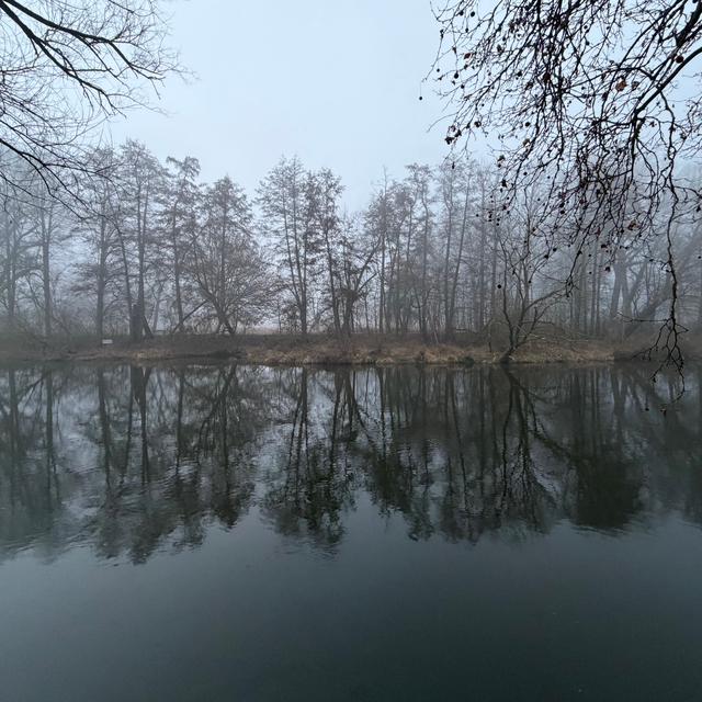 2026-03-05_065645_Saalenebel2