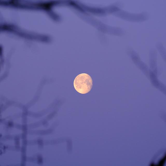 2026-03-06_064155_IMG_1147