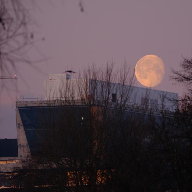 2026-03-06_064816_IMG_1147