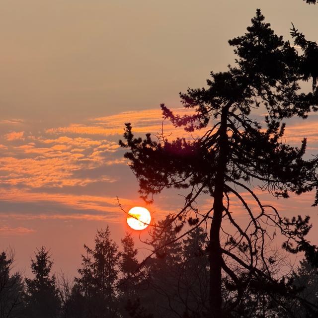 2026-03-21_063551_Sunrise