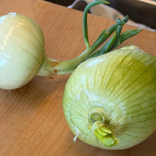 Onions