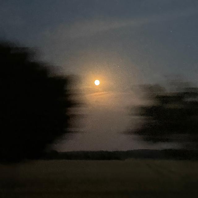 Snapseed