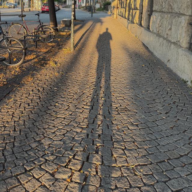 shadow 2